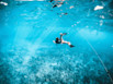 Swimming in a clean ocean
