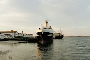 What is a tender port and how do I get ashore from the cruise ship?