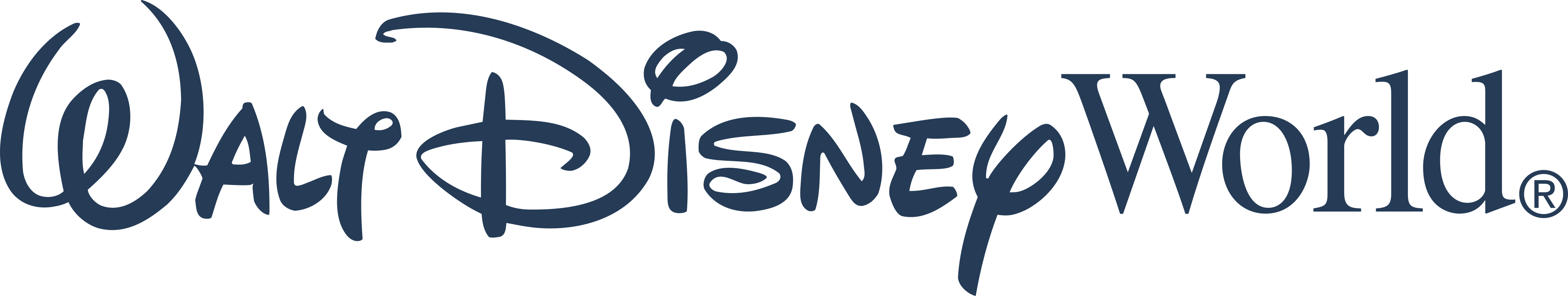 Disney World Orlando