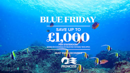 Princess Cruise Deals