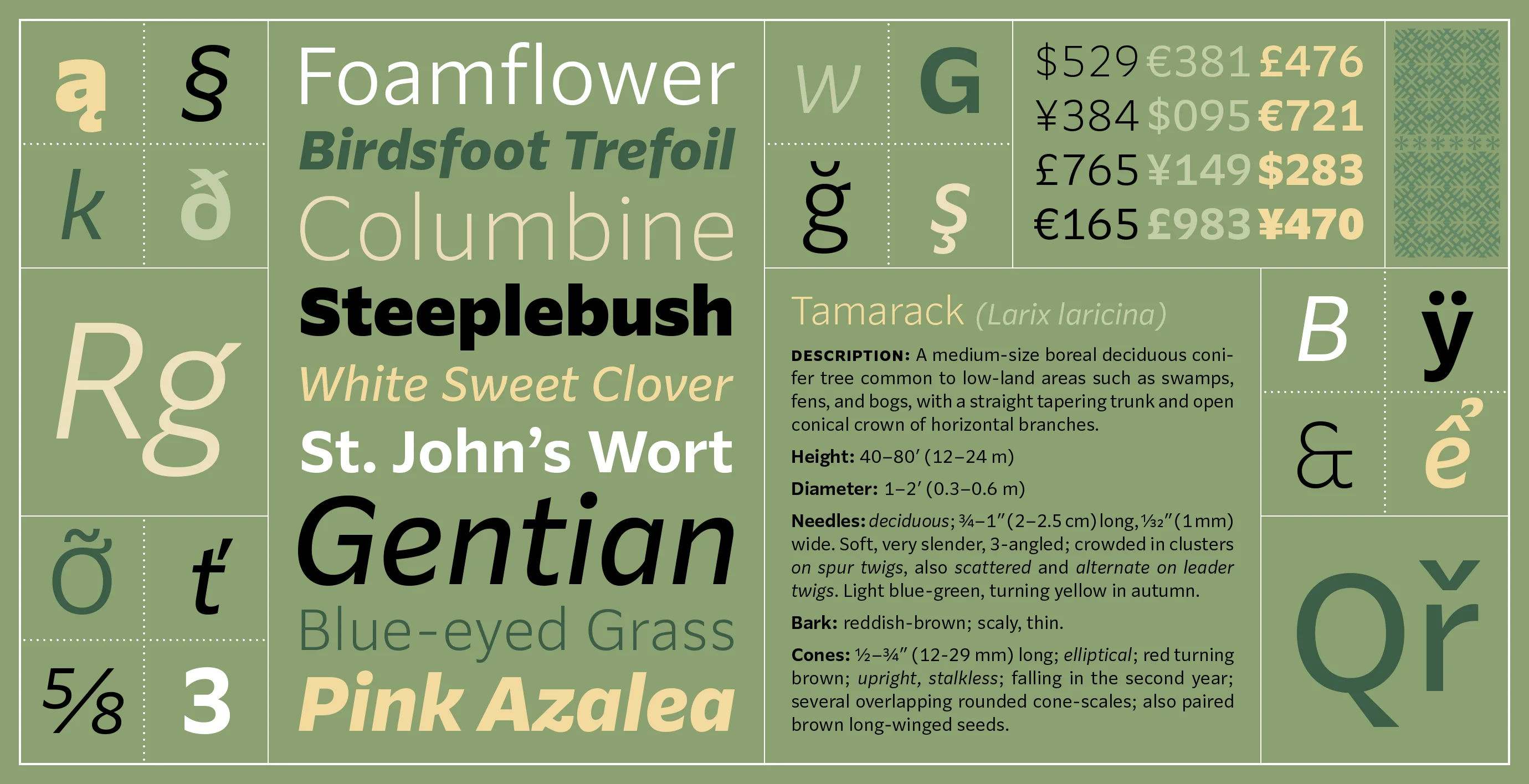 Parling - A new sans serif typeface from Kent Lew