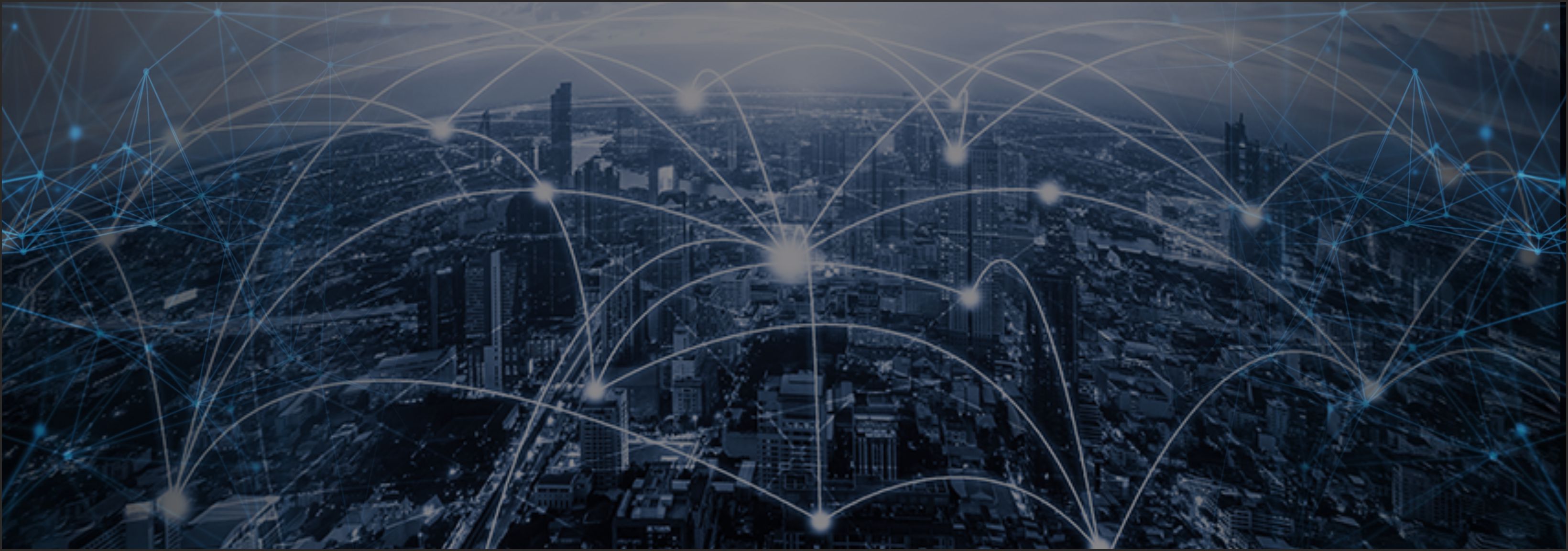 Managed Network Services