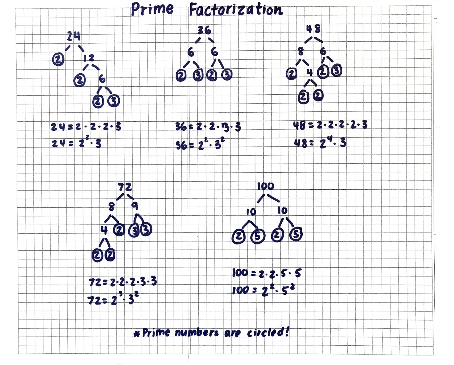 Prime Factorization Lesson Plan | Congruent Math