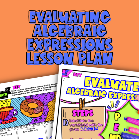 Thumbnail for Evaluating Algebraic Expressions Lesson Plan