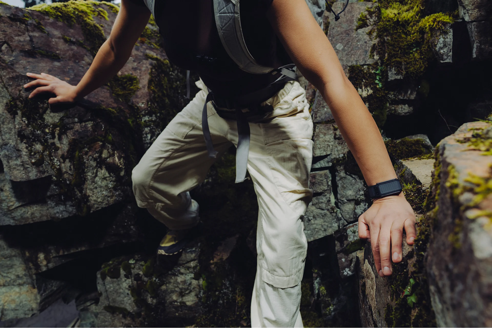 Navigator Sign In Navigator | WHOOP - The World's Most Powerful Fitness Membership