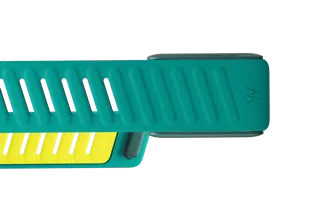 SportFlex-filter-preview