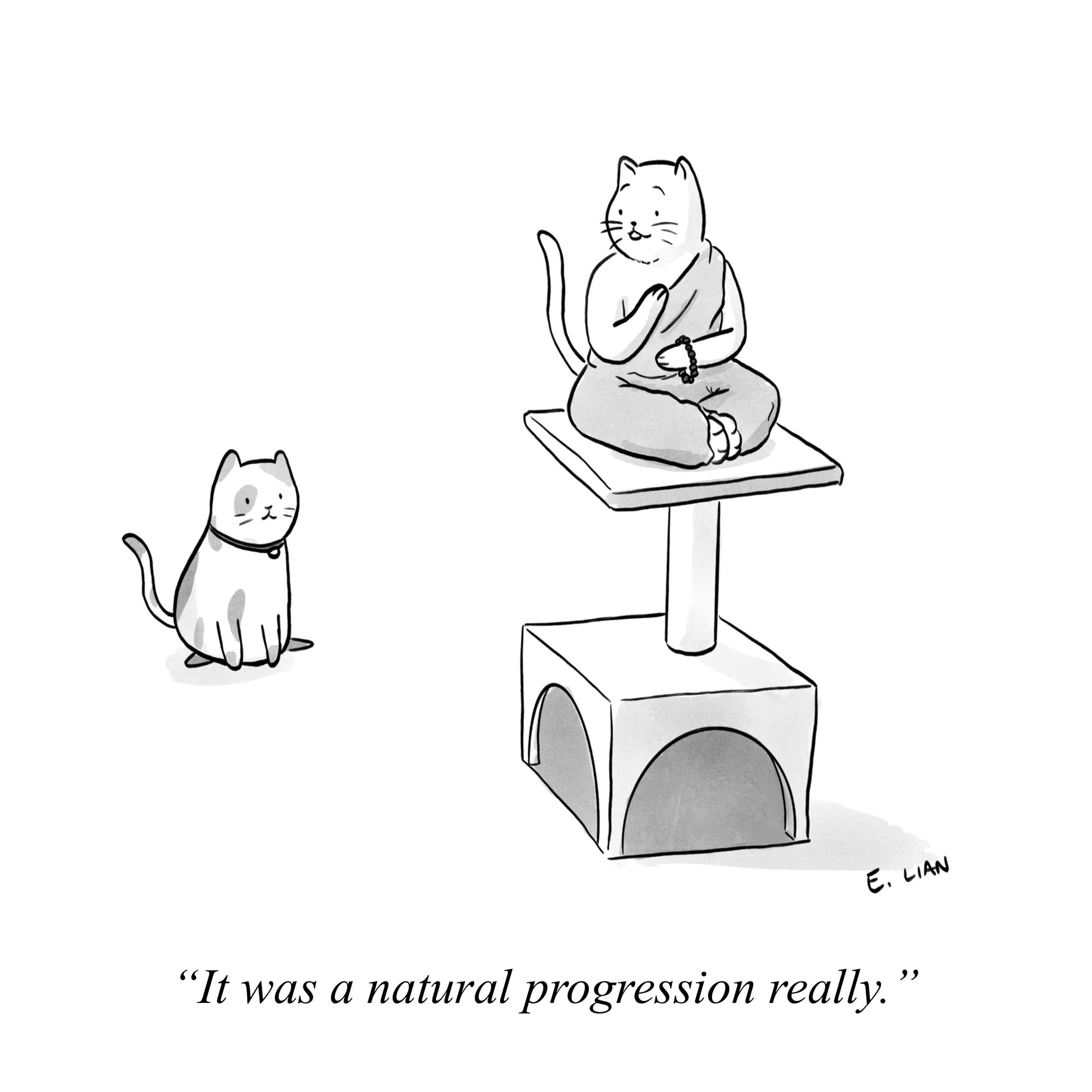 cat meditation cartoon