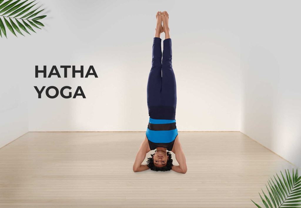 Hatha Yoga Sarva Yoga 1667