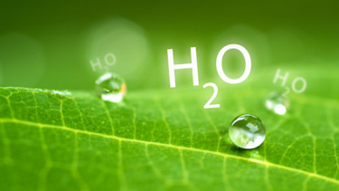 energy h20