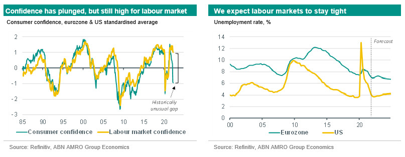 Confidence has plunged, but still high for labour market