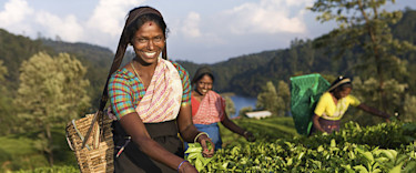 970x404-Women collecting crops