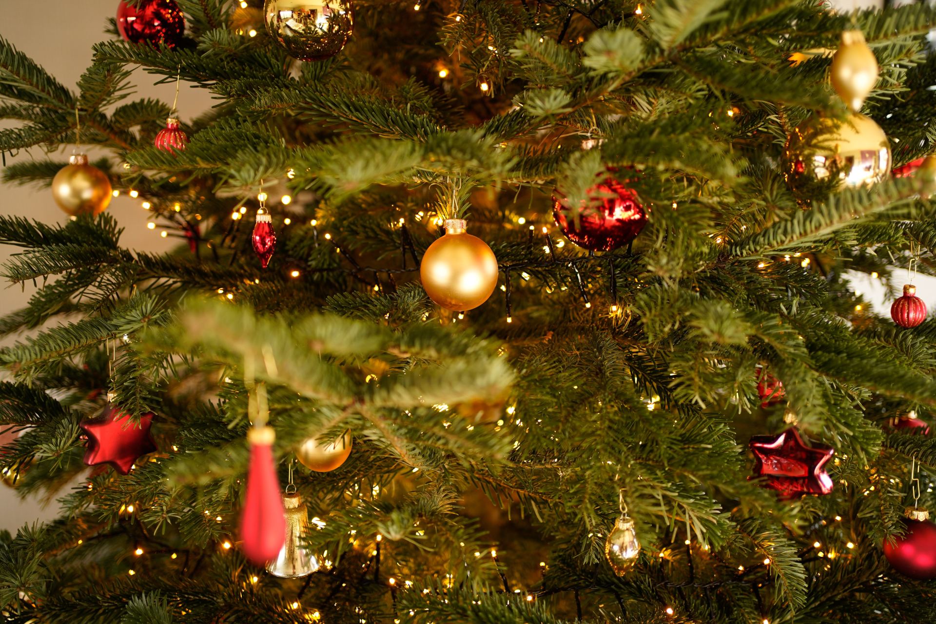 Column Voor mij geen slingers aan de plastic kerstboom