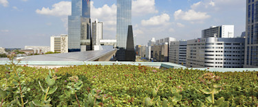 970x404-Duurzaam investeren