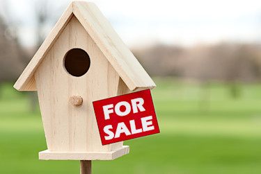housing bird house for sale