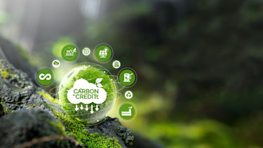 carbon credit2