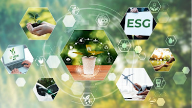 green esg business growth