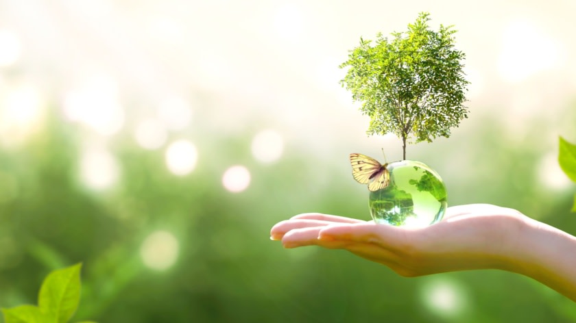 green protection nature