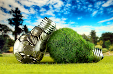 energy green light bulbs