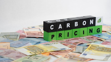 Carbon pricing 2