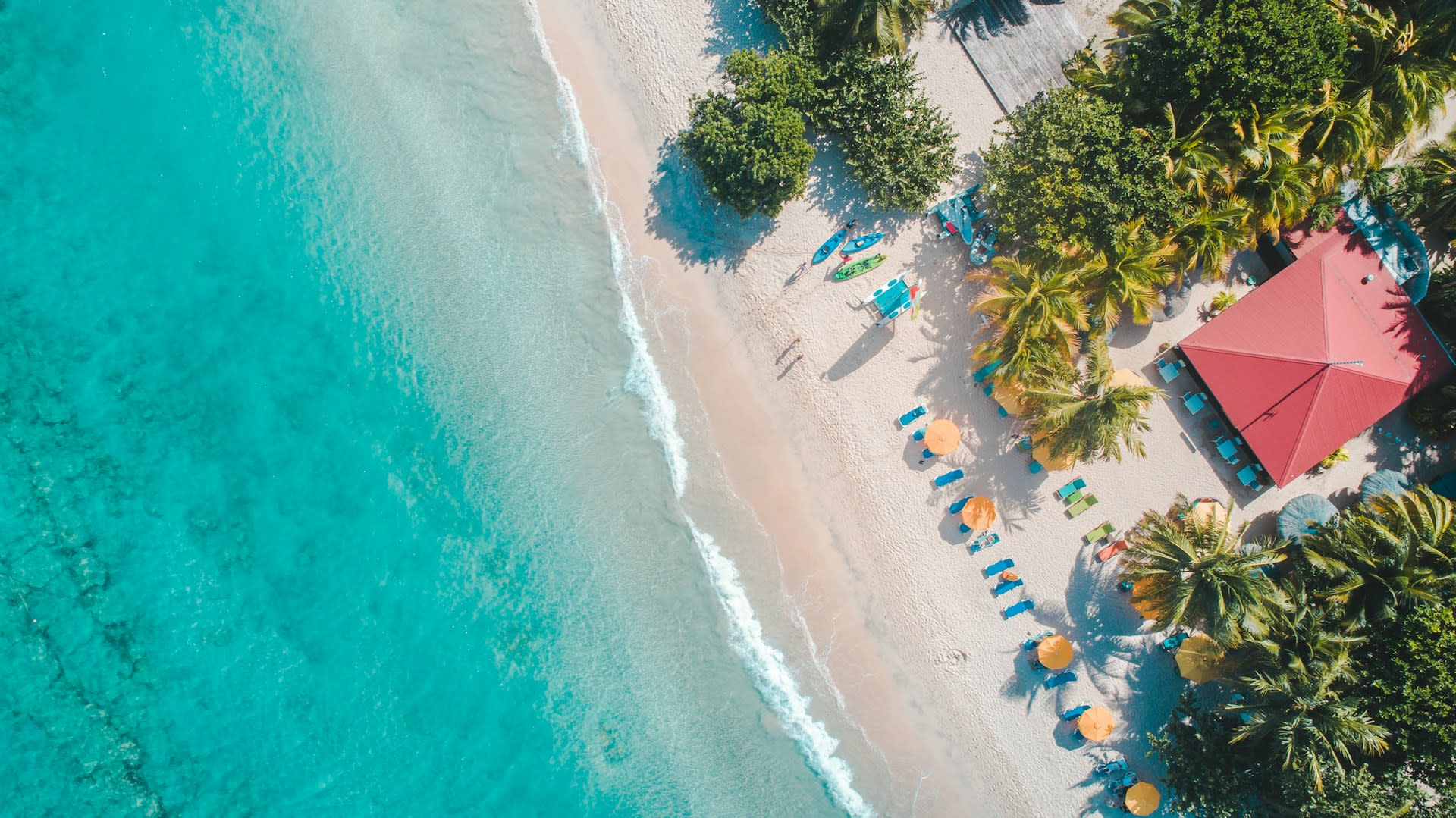 Photo by Hugh Whyte via Unsplash