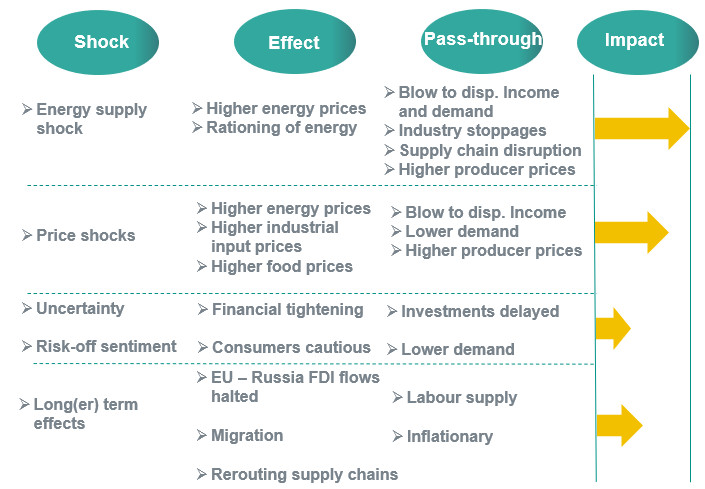 infographic