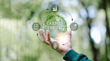 green carbon credit