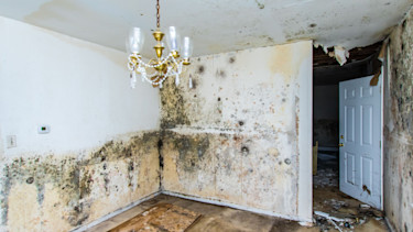 house water damage