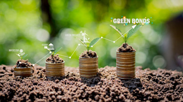 green bonds coins2