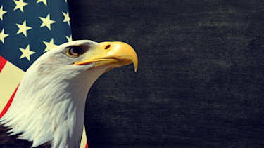 us eagle flag