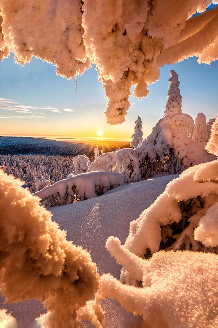 Luontokuva Petteri Karttunen