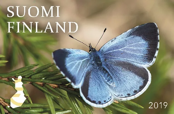 A butterfly with blue wings