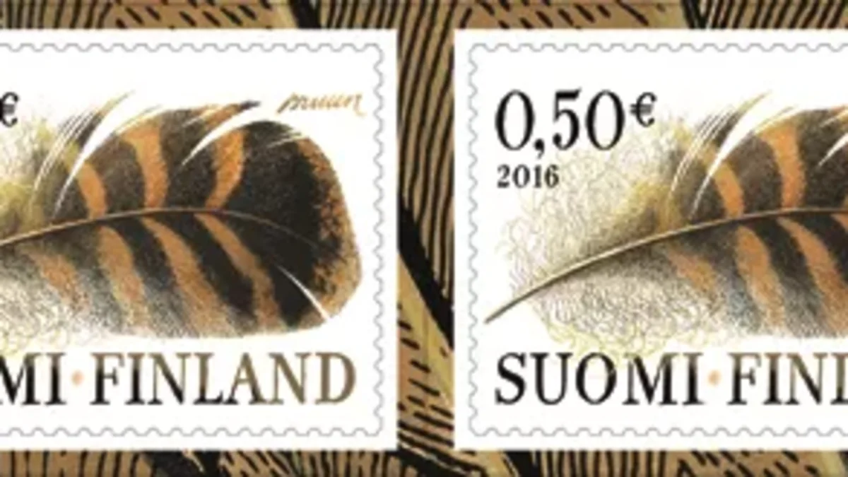 The feather of a mallard