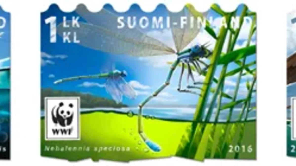 Saimaannorppa, sienet ja jokamiehenoikeudet