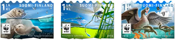 Saimaa ringed seal, mushrooms and everyman's rights