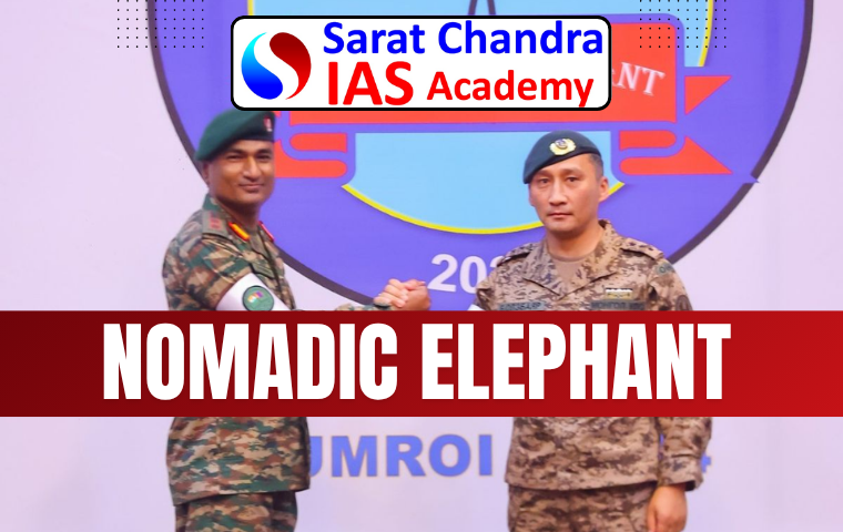 Nomadic Elephant