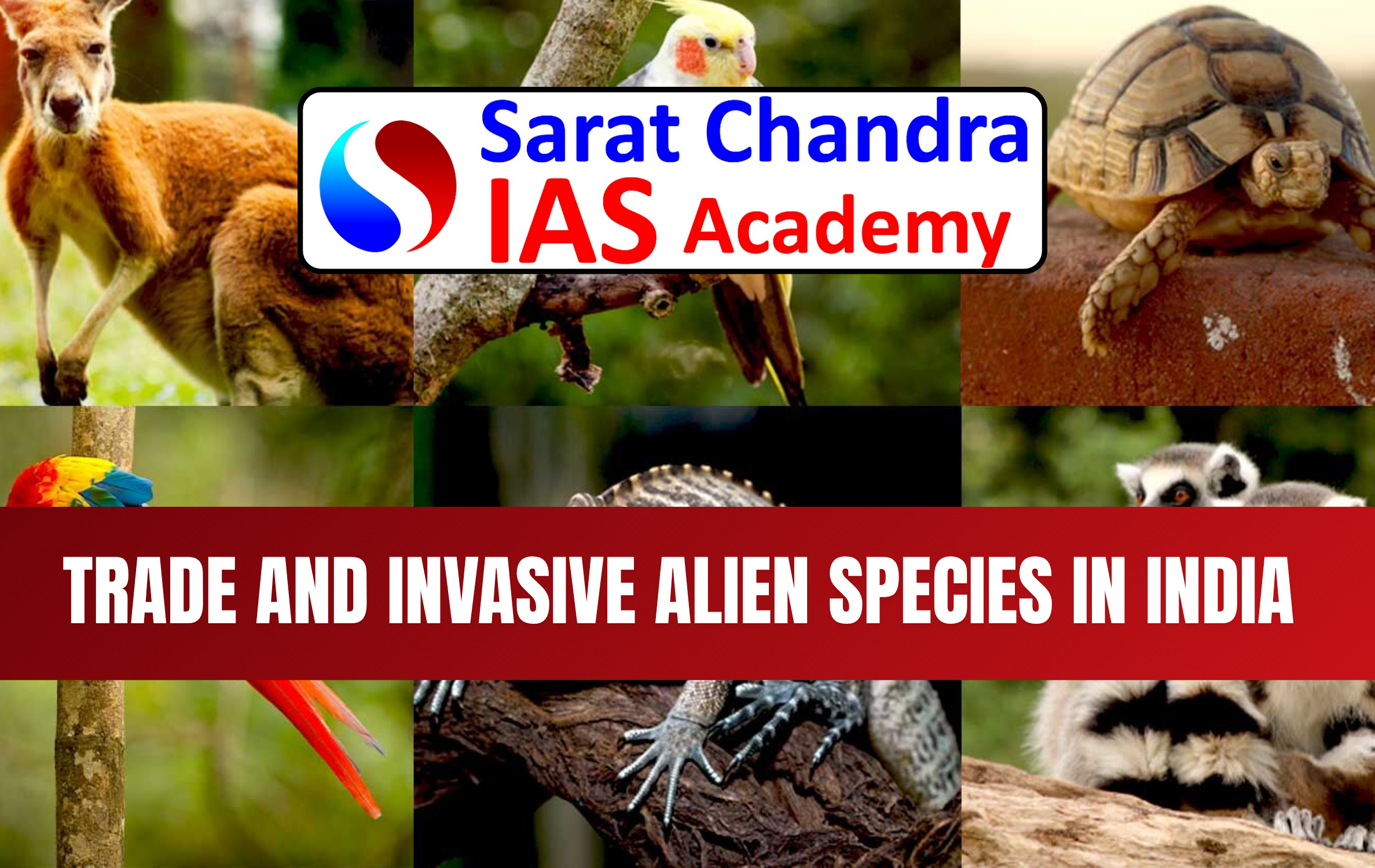 Trade and Invasive Alien Species in India