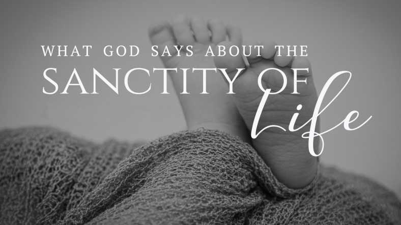 What Does God Say About the Sanctity of Human Life Sermon Series
