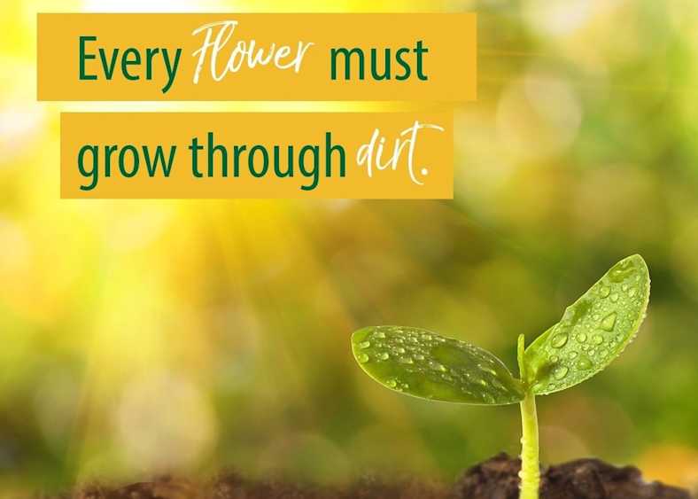 Every Flower Grows Through Dirt Sermon Series