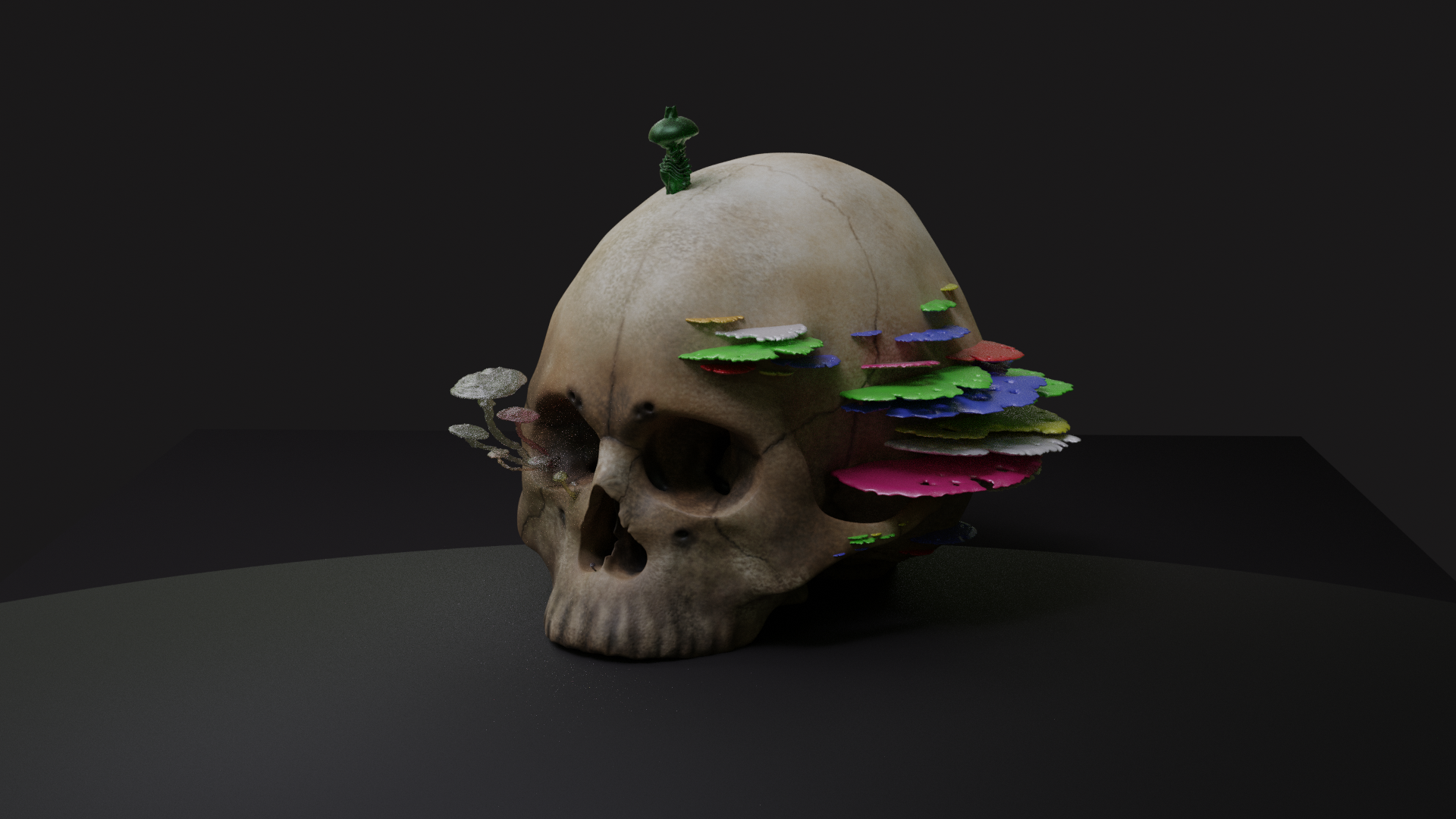 Mushrooms and Skulls s7