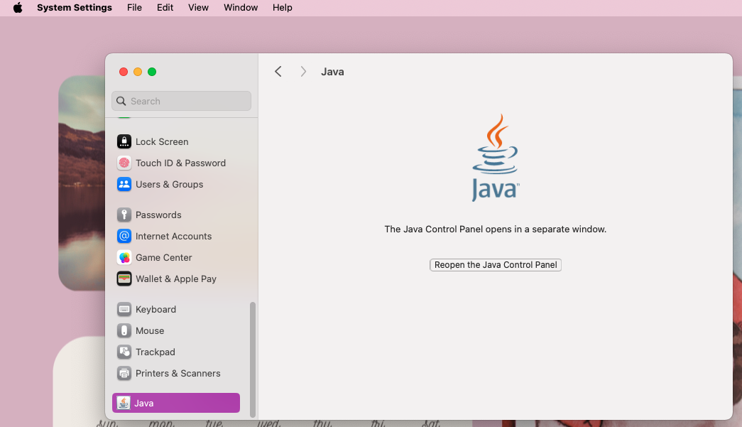 screenshot of java install screen