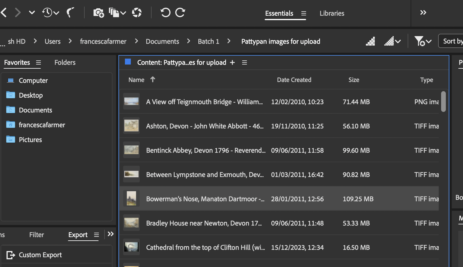 screenshot of the Adobe Bridge file browser