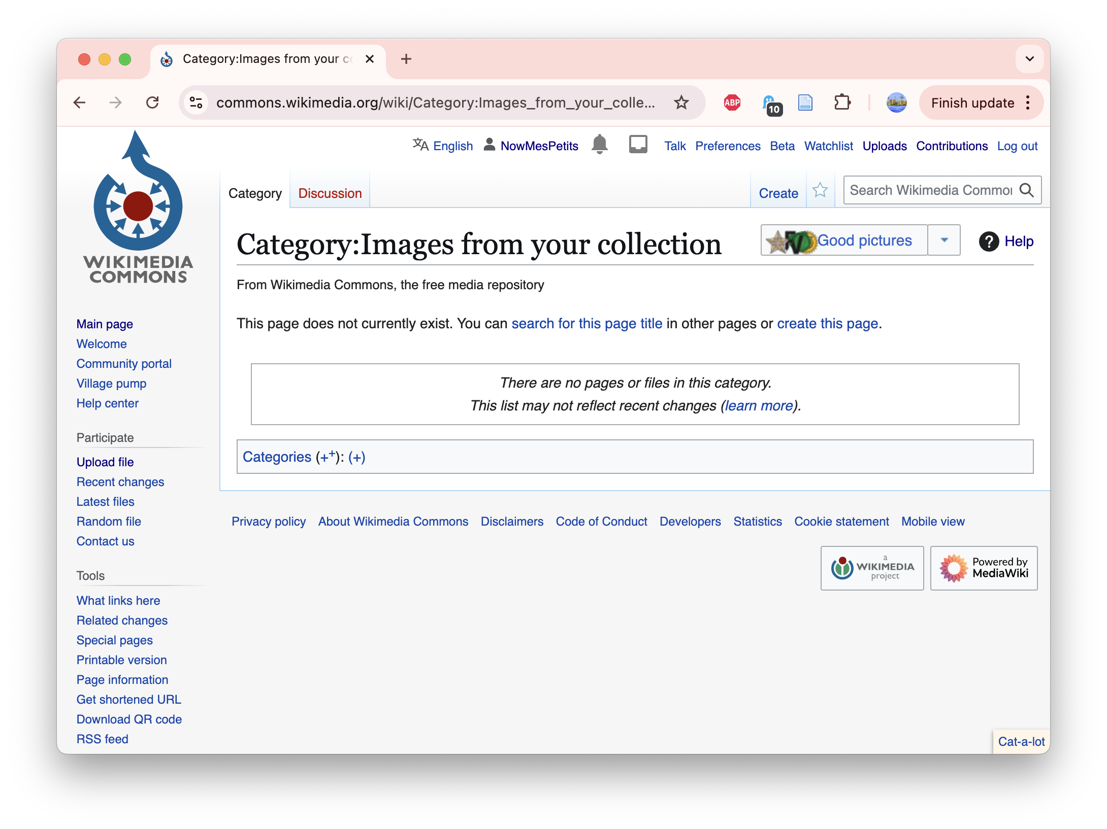 screenshot of wikidata category page