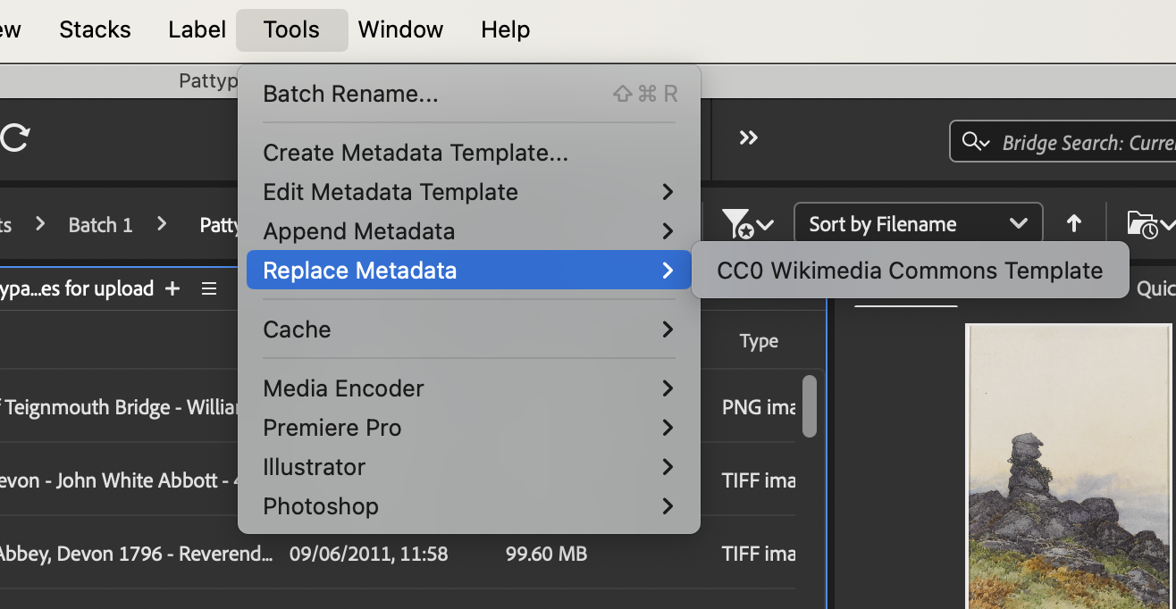 screenshot of Adobe Bridge metadata replacement option