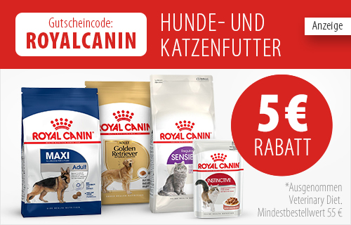 Tierbedarf Tierfutter Tiernahrung Günstig Bestellen Zooplus