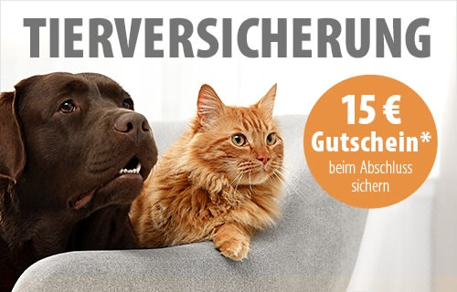 Tierversicherungen Im Vergleich