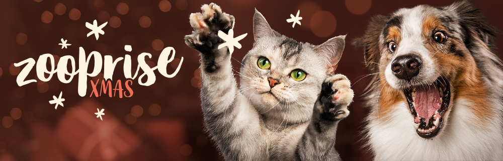 zooprise xmas! Tierische Geschenke! 