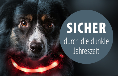 Tierbedarf Tierfutter Tiernahrung Günstig Bestellen Zooplus