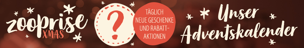 🎁 Jetzt Adventskalender öffnen & überraschen lassen! 🎁