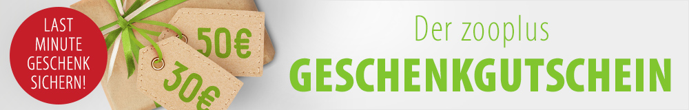 Bei zooplus Geschenkgutschein besorgen!