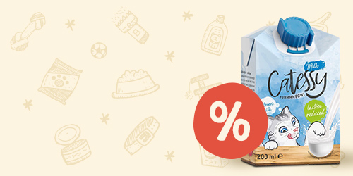 Jetzt Catessy Milk im Jumbo-Sparpaket sichern!